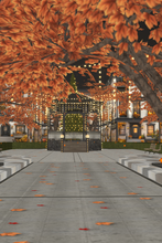 Fall Street Photo Room